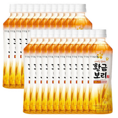 롯데 오늘의차 황금보리, 500ml, 24개