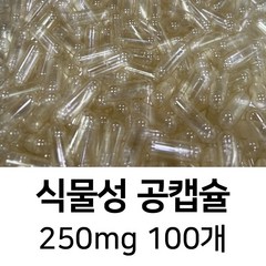 라이프건강 식물성공캡슐(250mg 100개) 식약허가통과, 100정, 1개