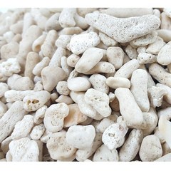 뼈산호사 -500g-뼈다귀 산호사 알카리성 여과재 바닥재