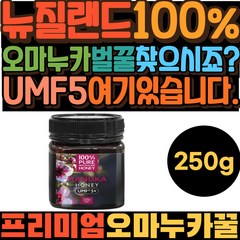 50대 현대인 직장인 건강 관리 프리미엄 오 마누카 꿀 결혼식 돌 잔치 고희연 답례품 30대 남자 남성 대용량 뉴질랜드 UMF5 효능 40대 여자 여성 순수 100% 퓨어 벌 허니