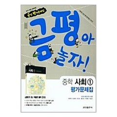 금성 중학교 중등 평가문제집 사회1 모경환 2023년용 금평아놀자 중1, 중등1학년