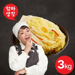 [KT알파쇼핑]김수미 엄마생각 백김치3kg, 1개, 3kg