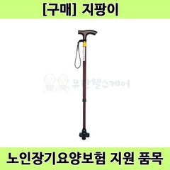 [노인장기요양] 복지용구 일자형 등산용 노인 어르신 지팡이 보행보조용품 케어스틱