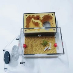 개미집 애완개미 키우기 관찰 작은 엔트하우스 교육, 세트 1