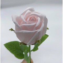 매이노 장미 DIY 다양한 향기 꽃다발 5송이+ 포장 소재, 핑크색