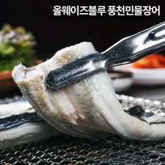 올웨이즈블루 고창 풍천민물장어 특대5kg, 1개