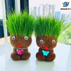 2+1 머리 잔디 인형 유치원 화분 식물 선물, 1.잔디인형 2개(2트레이 증정)
