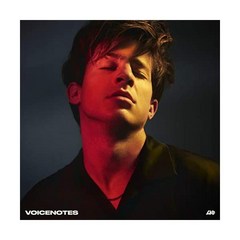 찰리 푸스 Charlie Puth Voicenotes LP판