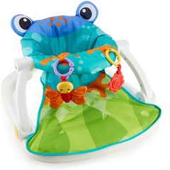 피셔 프라이스 휴대용 아기의자 싯미업 바닥의자 (장난감포함), 개구리