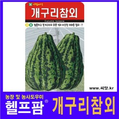 개구리참외 (50립), 본품