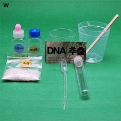 생명과학 실험교구 DNA추출하기 키트 10인용