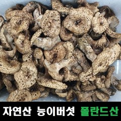 건조능이버섯 슬라이스 폴란드산, 100g, 1개