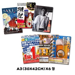 일본 포스터 직사각 레트로 이자카야 방수 접착 일식 라멘집 인테리어 벽장식, 맥주 42x30cm 6장