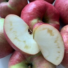 푸드마실 껍질째먹는 경북 청송 안동 꿀사과, 사과 2kg(10~13과), 1개