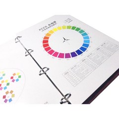 일본 퍼스널 컬러 차트북 색상표 컨설턴트 가이드 표준 컬러칩, 플립 차트