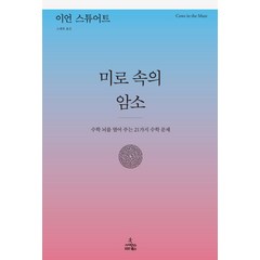 미로 속의 암소:수학 뇌를 열어 주는 21가지 수학 문제, 사이언스북스, 이언 스튜어트 저/노태복 역