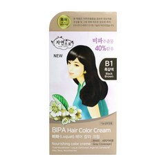 자연으로 비파 헤어컬러크림 B1 흑갈색 120ml 염색약, 1.단일옵션, 단품