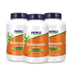 나우푸드 에키네시아 추출물 Now Echinacea 400mg 250캡슐, 3개