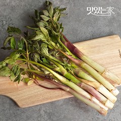 맛있는 [더조은] 국내산 땅두릅 500g x 2팩, 없음, 2개