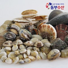 동부수산 모듬 조개구이 세트 2kg내외 (키조개포함), 1개, 02.알뜰세트 (키조개미포함) 2kg