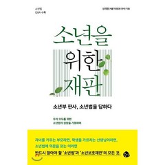 소년을 위한 재판 : 소년부 판사 소년법을 답하다, 심재광 저, 공명