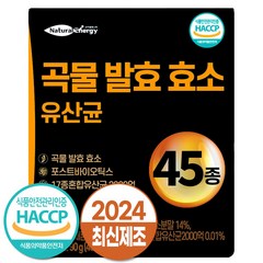 자연속 하루 효소 곡물 발효 효소 유산균 45종, 90g, 1개