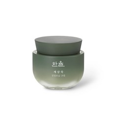 한율 세살쑥 진정보습 크림50ml, 50ml, 1개