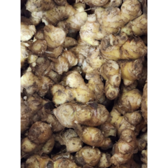 품질보장) 국내 토종 흙생강 1kg (유기농) 생강 햇생강 흙생강 ginger Ginger 햇생강1kg 국산생강 햇생강5kg
