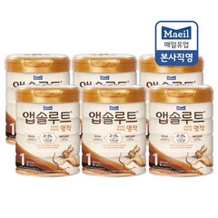 앱솔루트 명작 2FL 분유 1단계, 800g, 6개