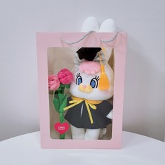 리코 학사모 인형 꽃다발 (장미꽃2송이)+투명창쇼핑백, 연분홍+보라