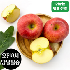 [12브릭스 당도선별] 맛난일상 고당도 가정용 쥬스용 흠집 못난이 사과 3kg (10~20입), 1개