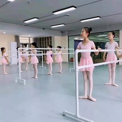 발레바 탄쯔 학원 홈트레이닝 발레봉 탄츠 스트레칭 연습, 길이250너비60높이100