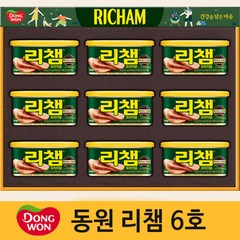리챔 오리지널 선물세트 6호 + 쇼핑백, 1세트