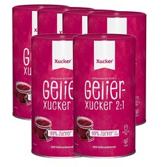 독일 슈카 Xucker Gelier2:1 자일리톨 2:1 저당 겔화 설탕 대체품 1kg, 6팩