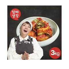 김수미 엄마생각 갓석박지3kg, 3kg, 1개