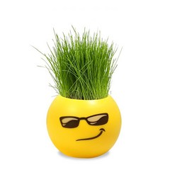 홈 장식 잔디 머리 인형 를위한 DIY 공장 실내 정원 발코니 심기 꽃병 꽃 냄비, 06 Cool Grass Head