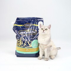 파이토펫츠 아메리칸솔루션 아쿠아민트 고양이모래, 9.07kg, 1개