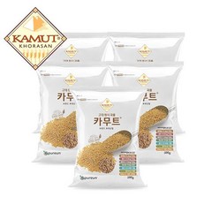 카무트 고대곡물 이집트 호라산밀, 500g, 5개