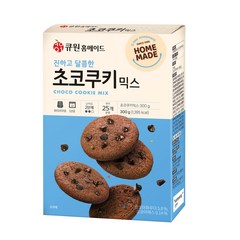 큐원 진하고 달콤한 초코쿠키믹스 300g 오븐용(유통기한23.11.21), 단품
