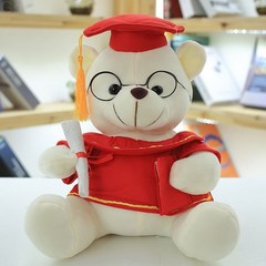 후드 곰돌이 피규어 박사곰 털북숭이 장난감 졸업 곰 테디베어 졸업 기념 선물 여자, 흰곰과 붉은 옷., 23cm