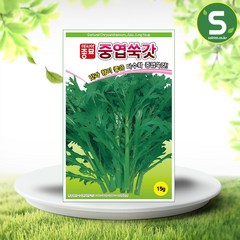 솔림텃밭몰 중엽쑥갓씨앗 15g 갓씨앗 쌈채소 잎채소 샐러드채소, 1개