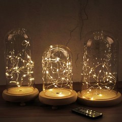 LED유리돔 LED부케 유리돔 리모컨형 각인가능 꽃 선물 부케말리기 드라이플라워, 유리돔-와이어형(리모컨)M