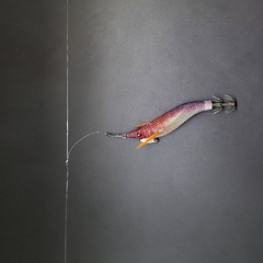 매드이카 갑오징어 가지채비 쭈꾸미 심해 갑오징어, 단차 10cm/가짓줄 5cm, 1개