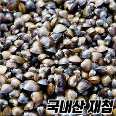 자갈치시장 해감된 국내산 새만금 냉동재첩 1kg, 1개