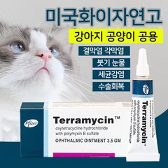 미국수입 Terramycin 반려동물 눈염증연고 강아지 결막염 눈물개선/눈건강 5통구입제한 C-0352, 1개, 3.5g