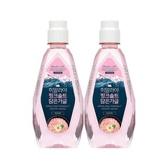 죽염 히말라야핑크솔트 가글 플로럴민트, 320ml, 2개