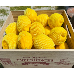 [시온] 청정제주의 레몬 못난이 중대과, 4.5kg(상품), 1박스
