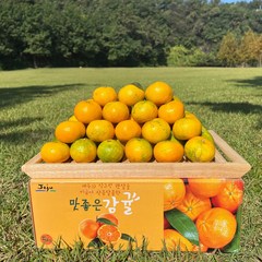 [과일정원] 새콤달콤 제주 감귤 복불복 없는 엄지척 고당도 귤, 1박스, 10kg (로얄과 S/M)