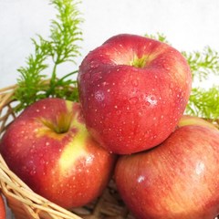 [더조은] 경북 홍로 사과 가정용 2kg 10-13과, 1개