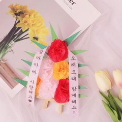 [바보사랑] 카네이션 미니화환 만들기 패키지 DIY (5인), 1개